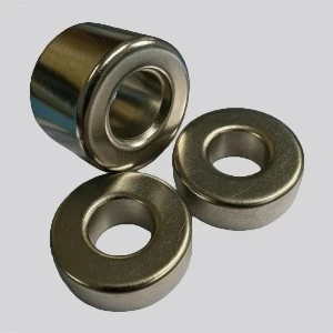 Corrosion Resistant Round Countersunk Magnets suppliers